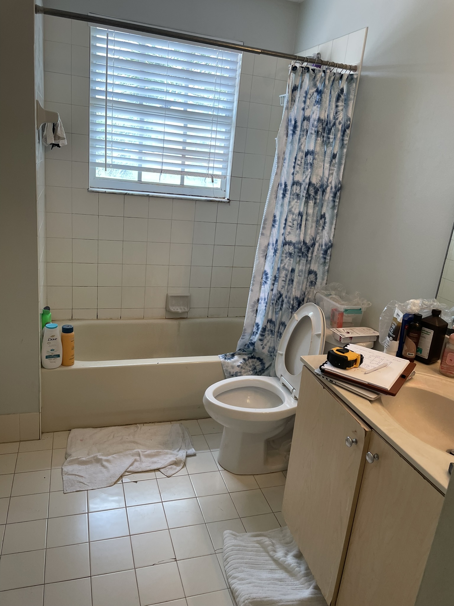 537ffbec-1c81-43f3-9123-6668ba8a24d4